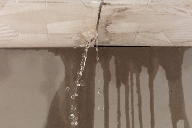 Professional Flood Damage Cleanup technician working in Tarboro, NC